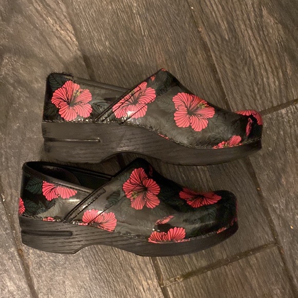 dansko hibiscus